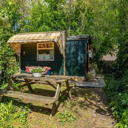 Tiny House-2